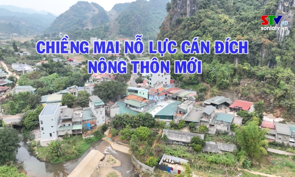 Trang cơ sở huyện Mai Sơn ngày 2/12/2024