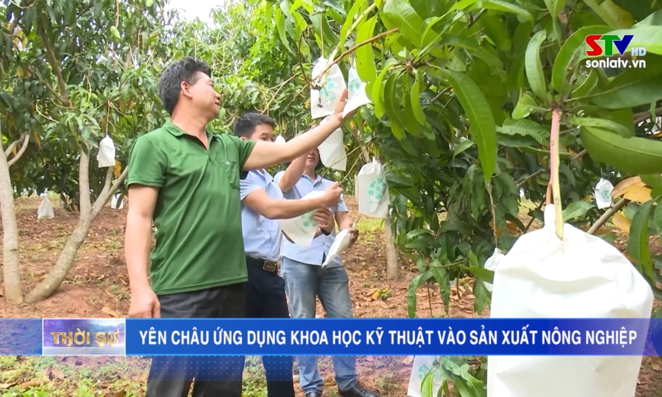 Huyện Yên Châu ứng dụng khoa học kỹ thuật vào sản xuất nông nghiệp