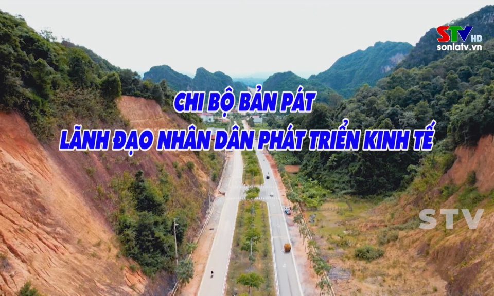 Trang cơ sở th&agrave;nh phố Sơn La ng&agrave;y 29/5/2025