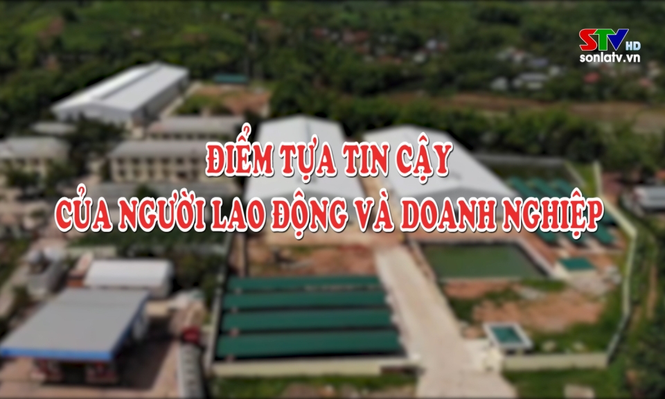 Điểm tựa tin cậy của người lao động v&agrave; doanh nghiệp (tiếng Th&aacute;i)