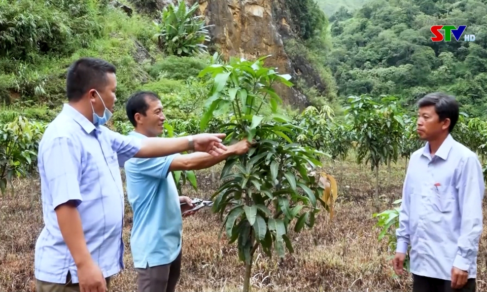 Hiệu quả chương tr&igrave;nh mục ti&ecirc;u quốc gia giảm ngh&egrave;o bền vững tr&ecirc;n địa b&agrave;n tỉnh Sơn La