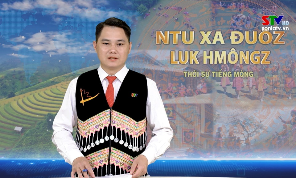 Bản tin truyền h&igrave;nh tiếng M&ocirc;ng ng&agrave;y 19/1/2026