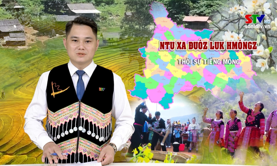 Bản tin truyền h&igrave;nh tiếng M&ocirc;ng ng&agrave;y 5/2/2026