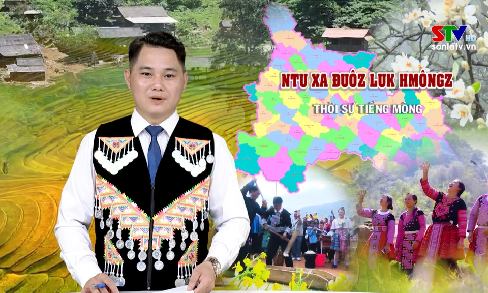 Bản tin truyền h&igrave;nh tiếng M&ocirc;ng ng&agrave;y 6/2/2026