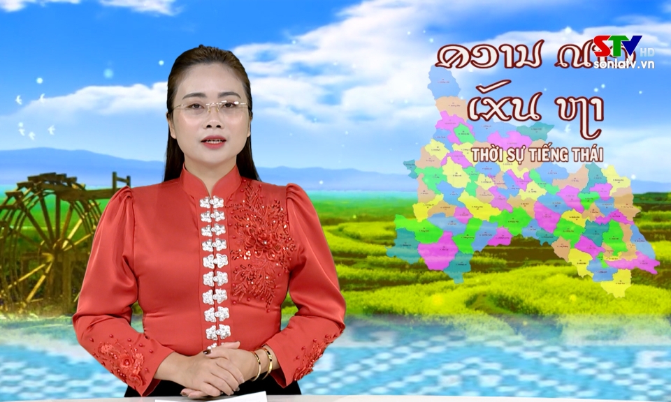 Bản tin truyền h&igrave;nh tiếng th&aacute;i ng&agrave;y 6/2/2026