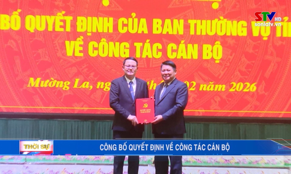 Hội nghị c&ocirc;ng bố quyết định của Ban thường vụ Tỉnh ủy về c&ocirc;ng t&aacute;c c&aacute;n bộ