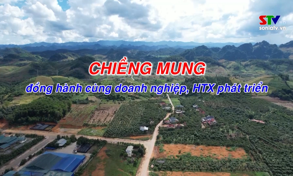 Chiềng Mung - đồng h&agrave;nh c&ugrave;ng doanh nghiệp, HTX ph&aacute;t triển